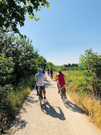Picture 2 for Activity E-bike adventure among villages and medieval castles 3