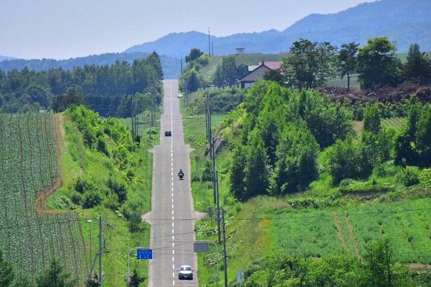 A straight road flanked by green fields and trees, leading towards distant mountains. 3