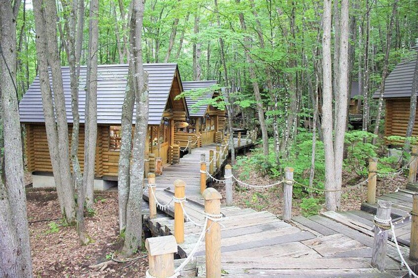 Wooden cabins surrounded by trees, connected by a wooden bridge. 5