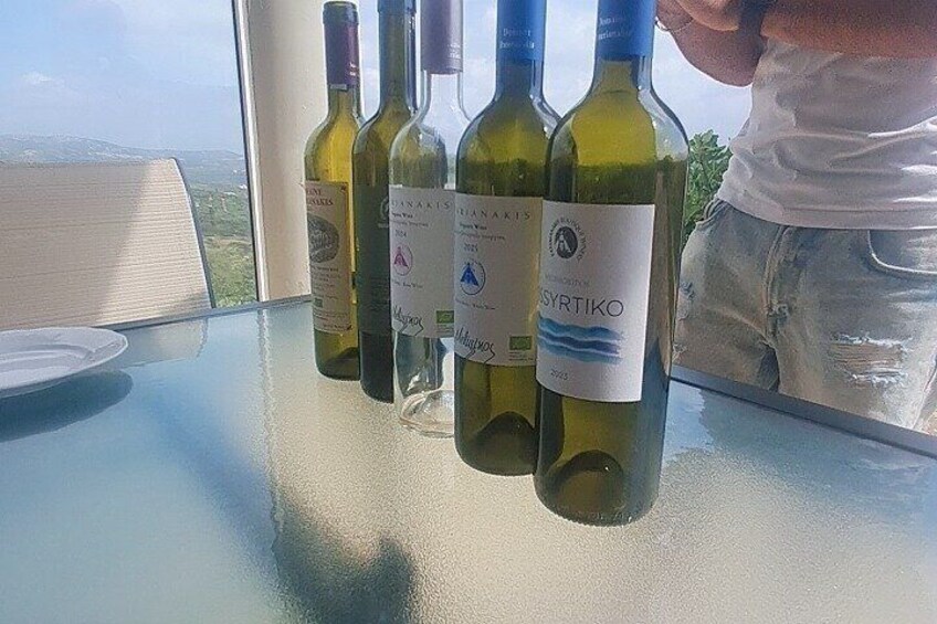Organic Wine & Olive oil with a travel Excutive 2