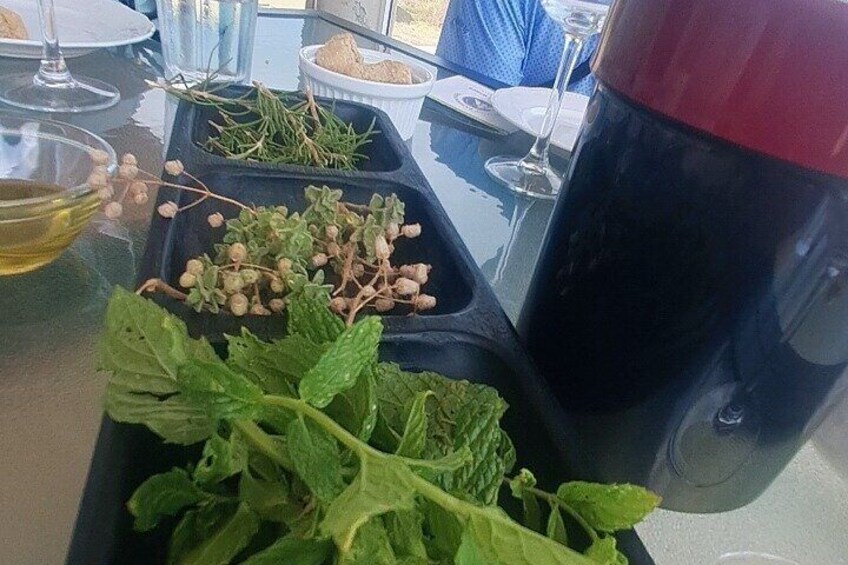 Organic Wine & Olive oil with a travel Excutive 4