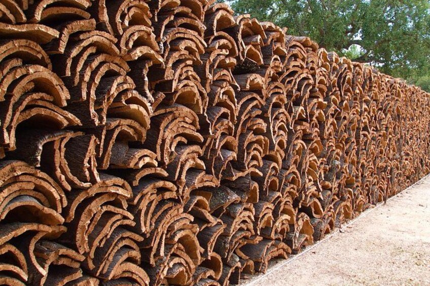 Évora Cork & Castle: From Cork Oak to Evoramonte — Private Tour 1