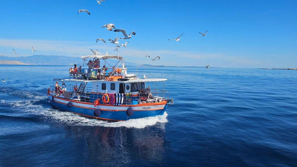 Picture 1 for Activity Krk: Golden Beach, Blue Cave and 4 Islands Cruise 2