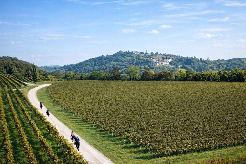Picture 3 for Activity Verona: Horseback Riding and Wine Tasting Experience 4