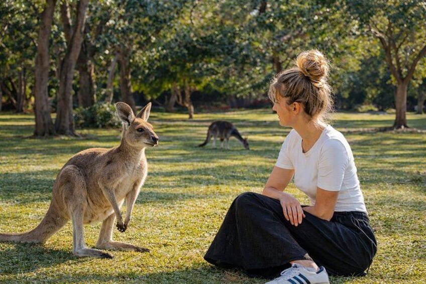 Experience unforgettable close-ups with wild kangaroos in their natural habitat — one of the most magical moments of the day. 5