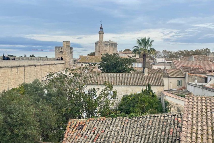 Small group half day Camargue and Aigues Mortes tour 2