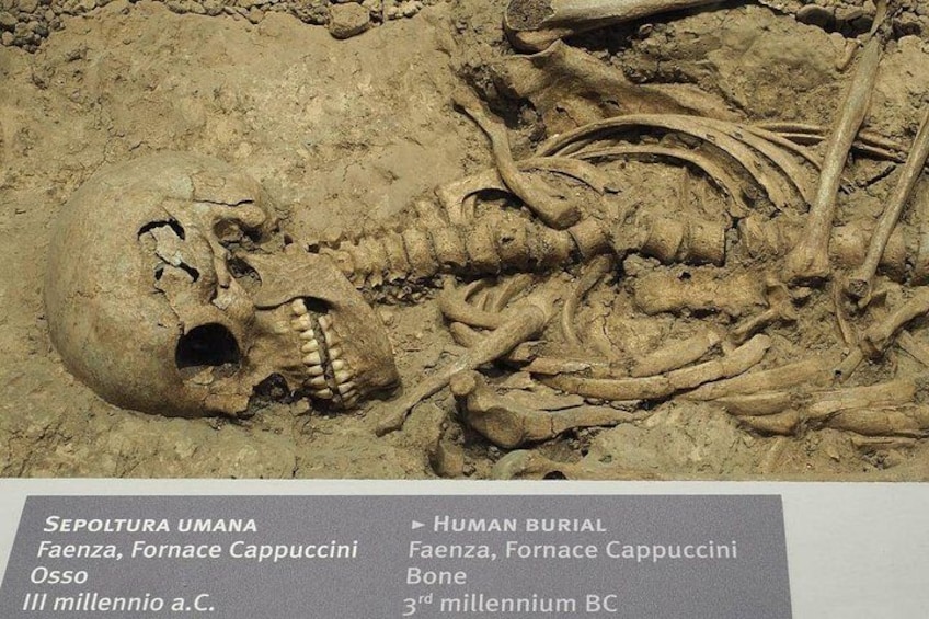 A human skeleton in a burial site with a skull and bones. 2