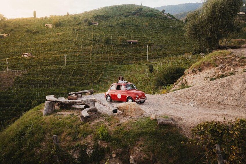 A red car parked on a dirt path in a vineyard. 1