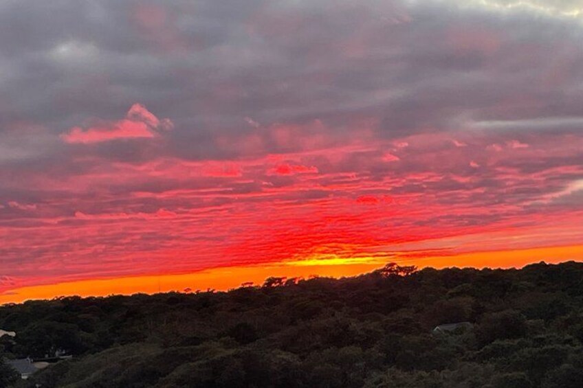 Un atardecer sobre un paisaje montañoso con vegetación densa. 4