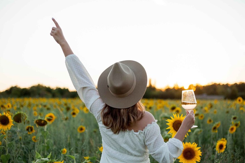 A person in a field of sunflowers, wearing a hat and holding a glass. 3