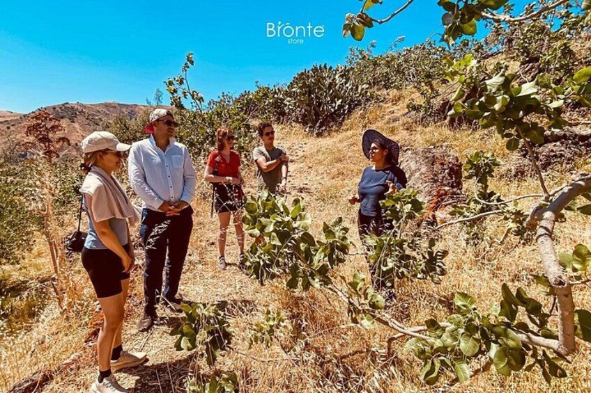 Een groep mensen staat in een droog, heuvelachtig landschap met weinig begroeiing en een heldere lucht. 1