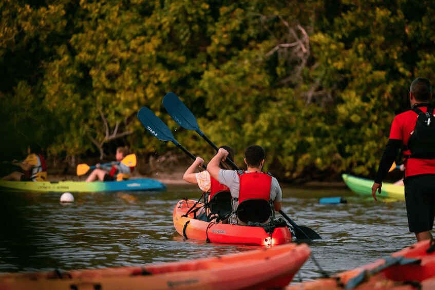 People kayaking on calm water surrounded by dense foliage. 5