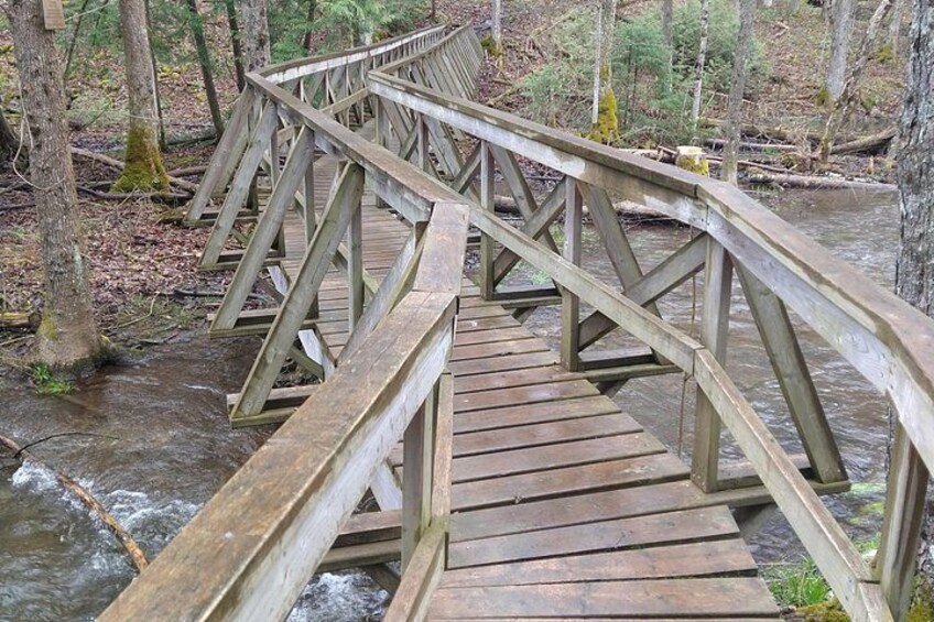 A wooden bridge over a flowing river surrounded by trees. 2