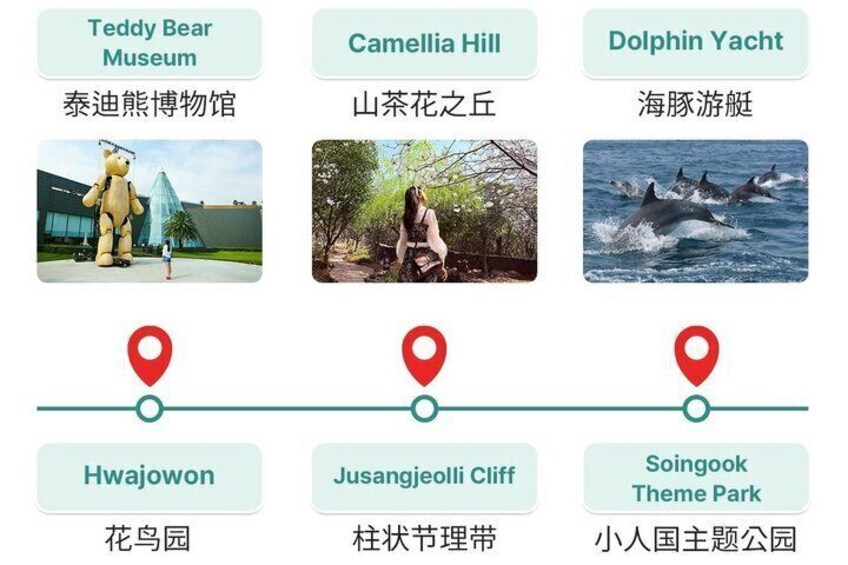 Jeju Island Popular Sightseeing Private Car Charter Tour 5/9hours 4
