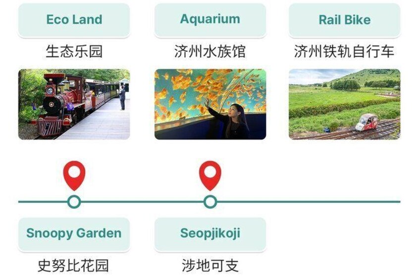 Jeju Island Popular Sightseeing Private Car Charter Tour 5/9hours 5