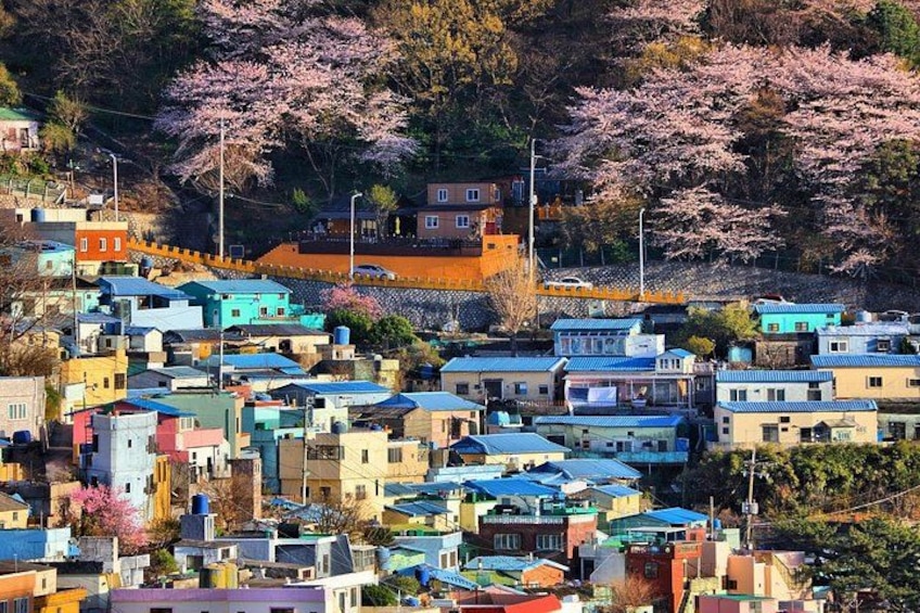 Un quartiere residenziale fitto di case colorate, con un ponte e fiori di ciliegio sullo sfondo. 3