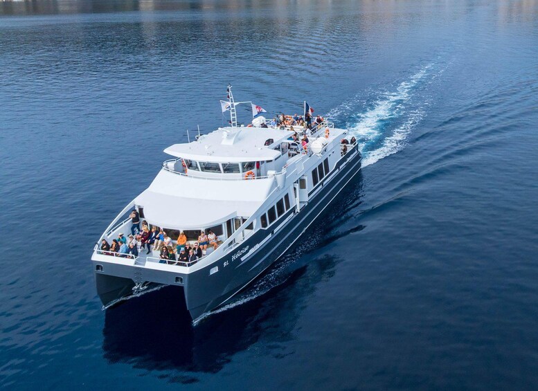 Picture 1 for Activity Cannes - Saint Tropez: round trip boat transfer 4