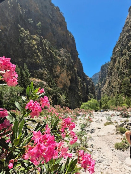 Picture 25 for Activity From Georgioupolis: Roundtrip Transfer to Samaria Gorge 3
