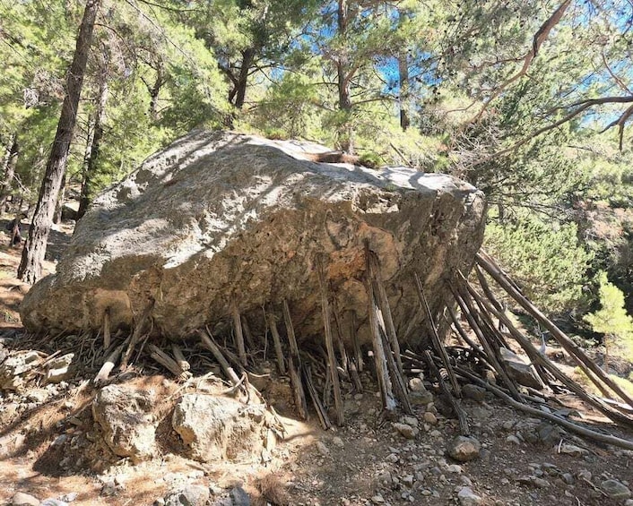 Picture 26 for Activity From Georgioupolis: Roundtrip Transfer to Samaria Gorge 4