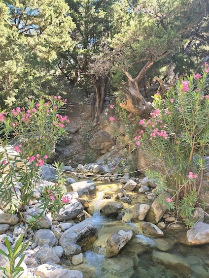 Picture 24 for Activity From Georgioupolis: Roundtrip Transfer to Samaria Gorge 5