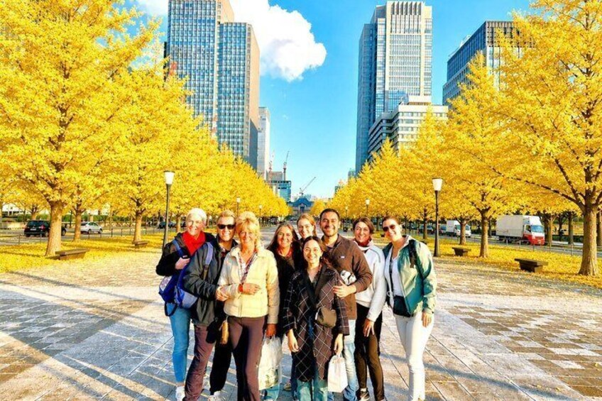Tokyo Full Course Tour: Explore 15 Must-See Sights & Hidden Gems 2