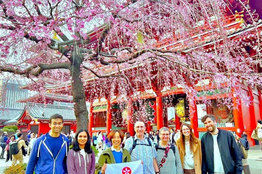 Tokyo Full Course Tour: Explore 15 Must-See Sights & Hidden Gems 3