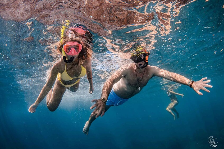 L'Estartit: Medas Islands Boat Tour and Swim in Montgrí Park 1