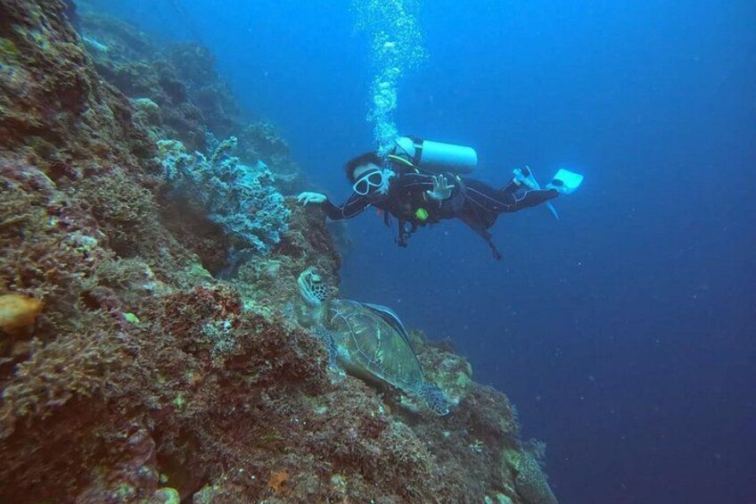 A diver exploring a coral reef with a sea turtle nearby. 5