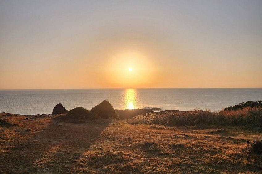 Jeju island Sunrise Tour Early Morning with Hotel Pickup 4