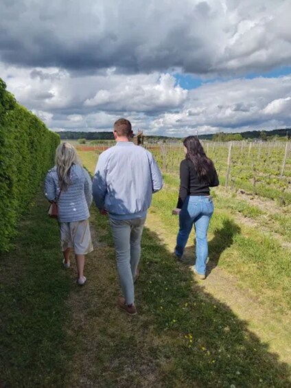 Vouvray half-day wine experience : vineyard visit & tasting trip from Tours 3