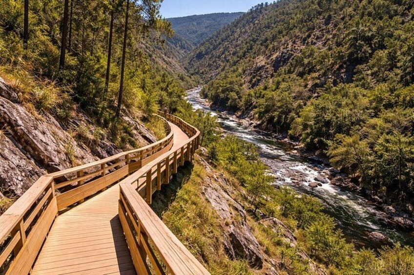 Porto Small-Group Tour: 516 Arouca Bridge and Paiva Passages 2