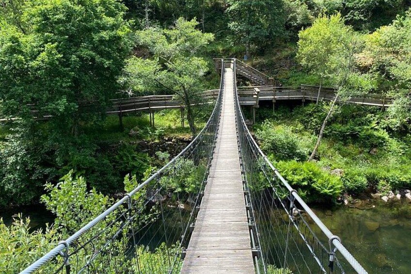 Porto Small-Group Tour: 516 Arouca Bridge and Paiva Passages 5
