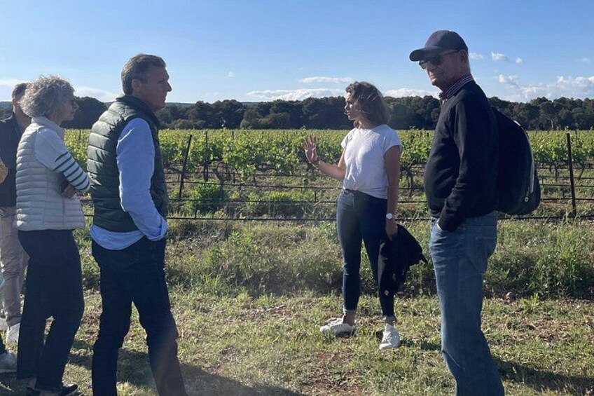 A group of people standing in a vineyard with rows of grapevines. 4
