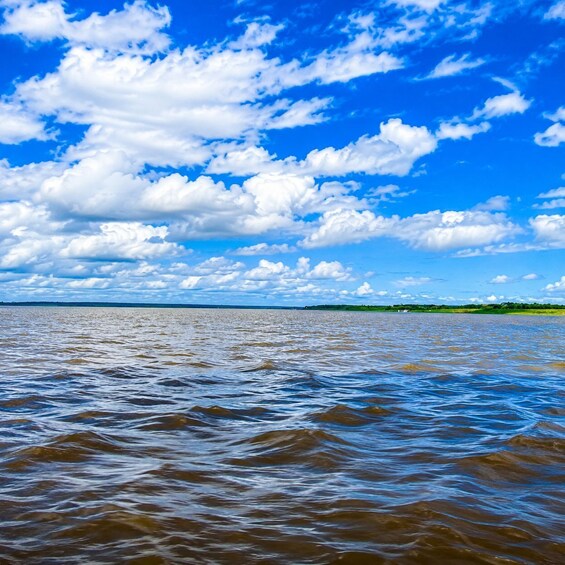 Picture 7 for Activity Amazon Excursion on the Rio Negro Manaus (SHARED EXCURSION) 2