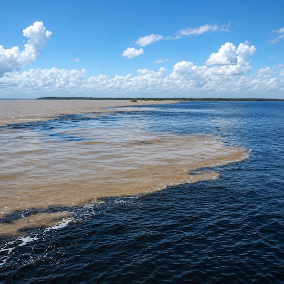 A body of water with a distinct brownish area, a clear blue sky, and scattered clouds. 2