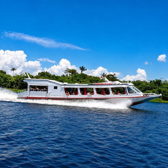Amazon Excursion on the Rio Negro Manaus (SHARED EXCURSION) 2