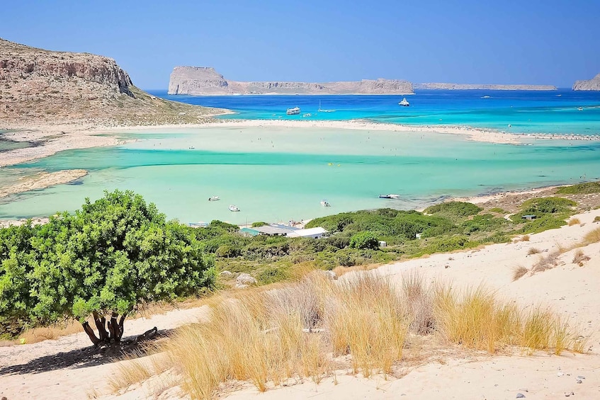A coastal landscape with clear turquoise waters, sandy beaches, and a prominent tree in the foreground. 5