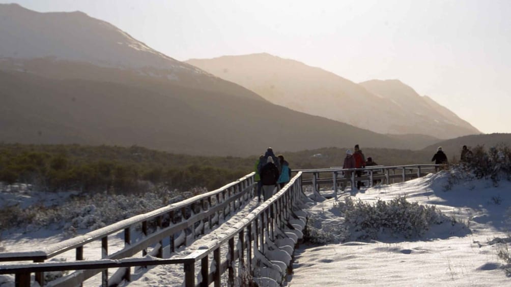 Picture 2 for Activity Ushuaia: Tierra del Fuego National Park 4