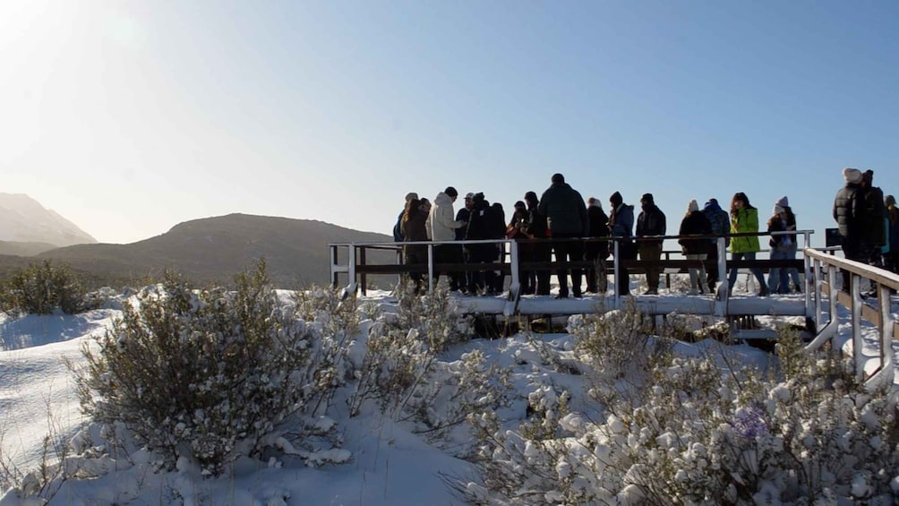 Picture 11 for Activity Ushuaia: Tierra del Fuego National Park 5