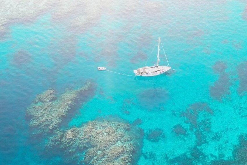 Major Tom - Sailing Vessel 2