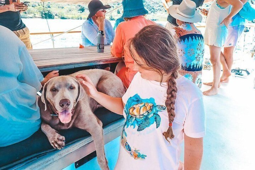 Un chien allongé sur un banc, une personne qui le caresse, et une foule de personnes en arrière-plan. 4