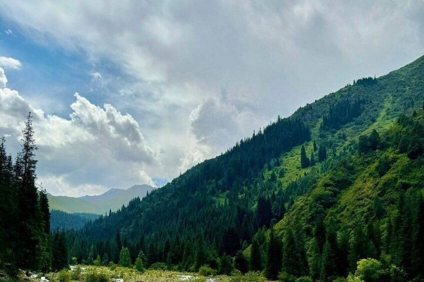 A mountainous landscape with dense forests and a river. 5