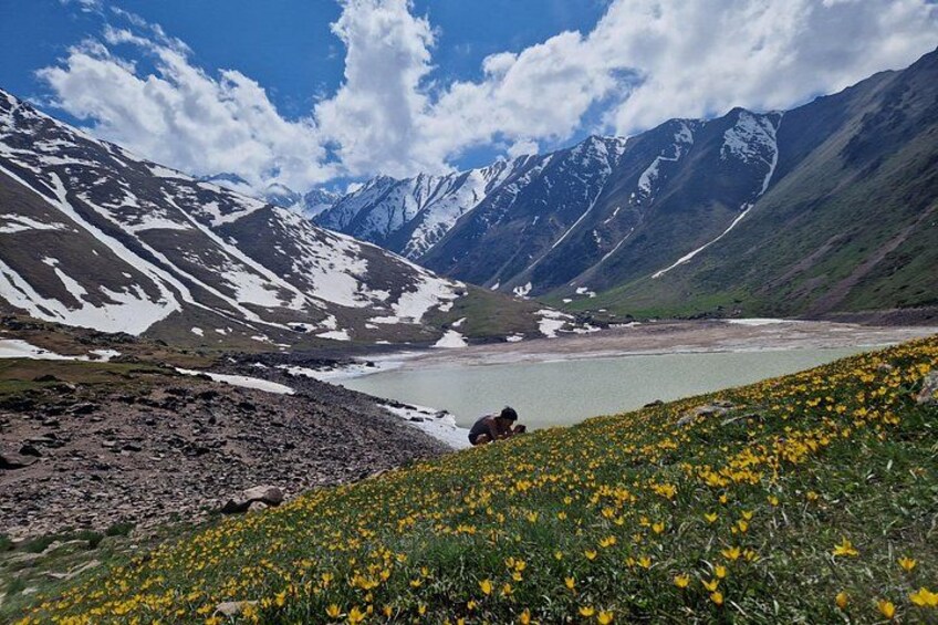 Paesaggio montuoso con un lago, fiori gialli e una persona che fa trekking. 1