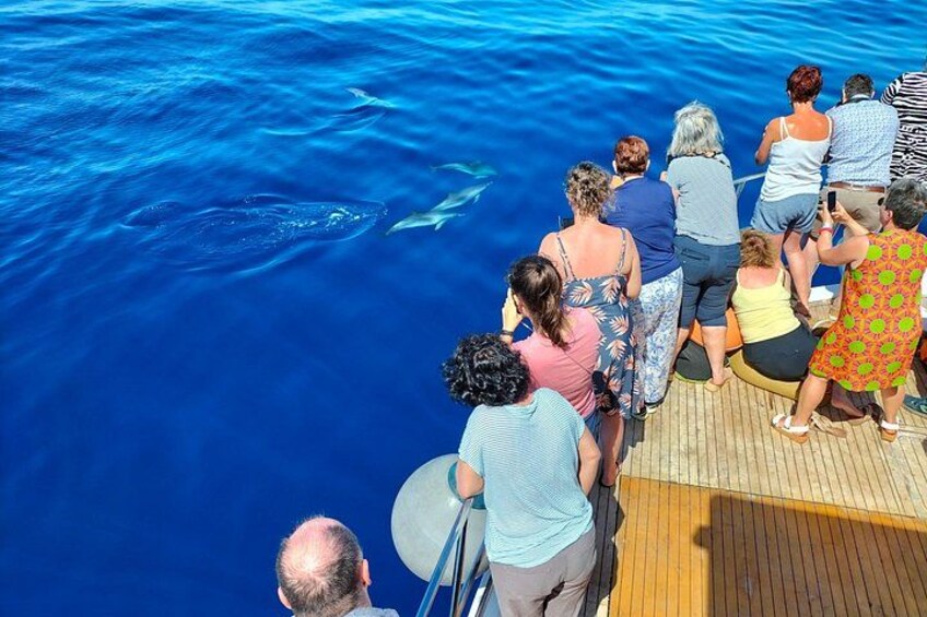 Half Day Madeira Island Cruise with Lunch 3