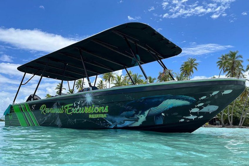 A boat with a green and black design, named 'Renaii Excursions,' docked in clear turquoise water with palm trees in the background. 1