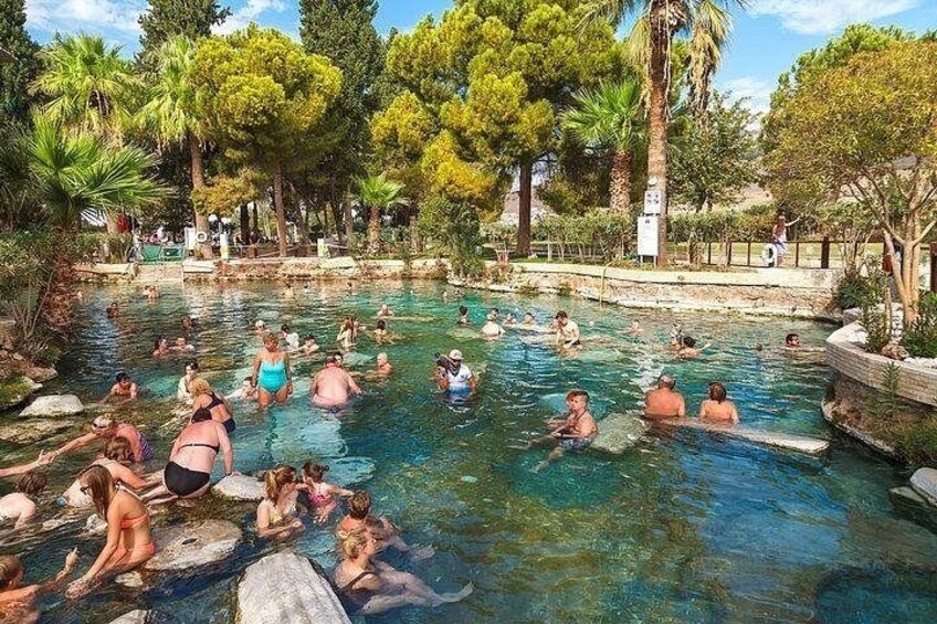 A swimming pool surrounded by trees and rocks. 4