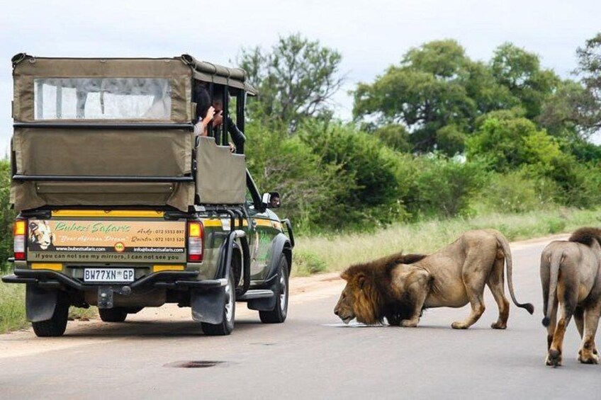 Kruger National Park - Full Day Safari 1