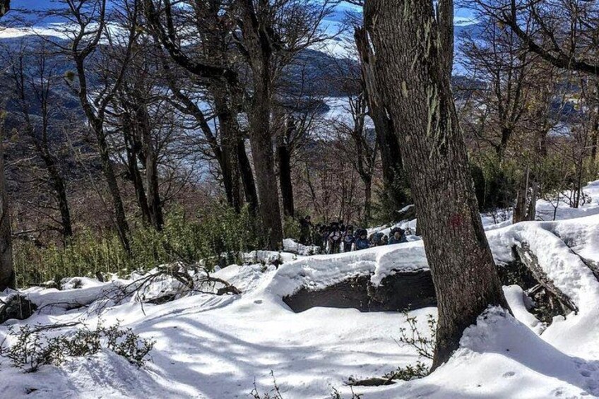 Private Snowshoe Hiking in Bariloche in Winter 5