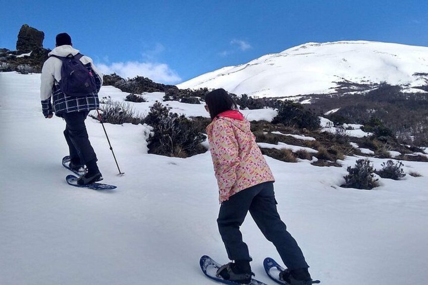 Private Snowshoe Hiking in Bariloche in Winter 4