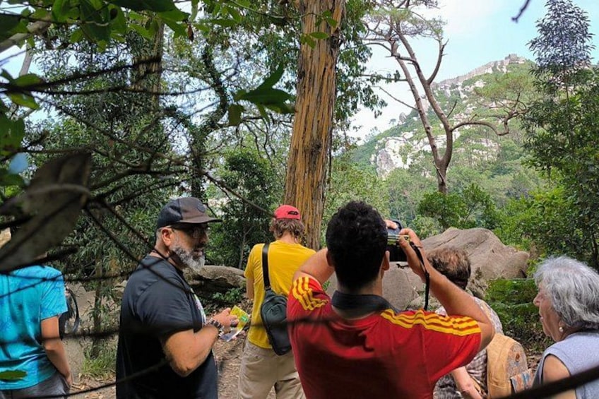 A group of people hiking in a forested area with a mountain in the background. 2